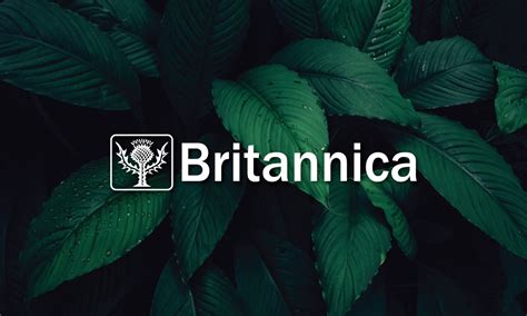 Britannica logo design on Behance