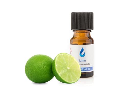 Lime Essential Oil 10ml – Trend Ascend