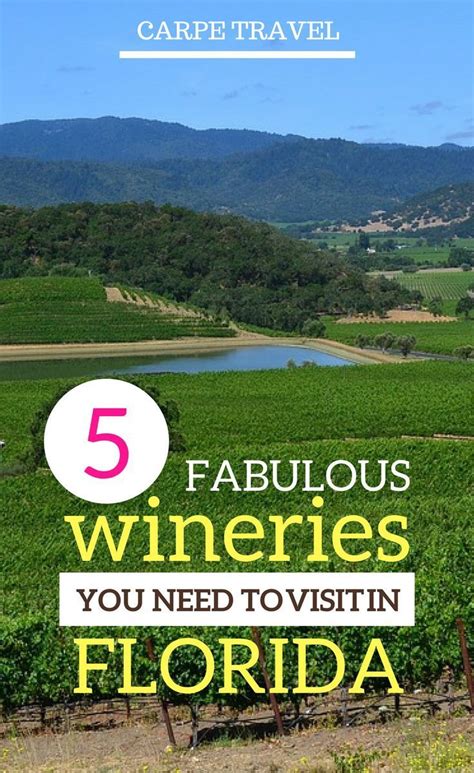 5 fabulous Florida wineries that you cannot miss. Check out why these wineries should be on your ...