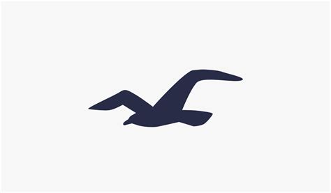 Hollister Logo Design History and Evolution | TURBOLOGO blog