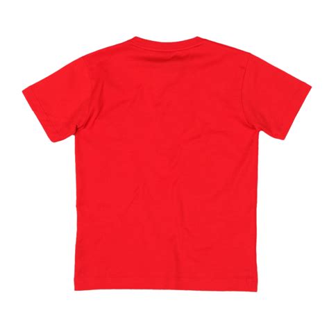 Red T-Shirt PNG Transparent Images, Pictures, Photos | PNG Arts