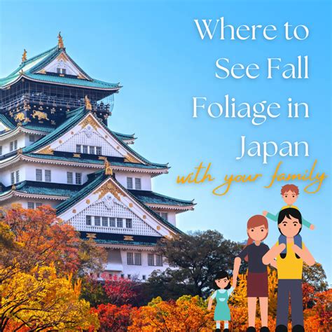 Where to See Fall Foliage in Japan with Your Family | CareFinder