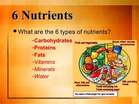 3-1 nutrition nutrients