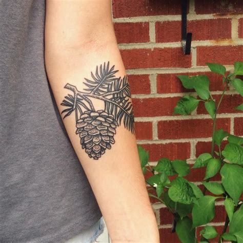 Pine branch with cone forearm detailed realistic tattoo - Tattooimages.biz