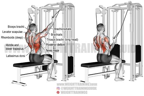 Double cable neutral-grip lat pull-down exercise instructions and video