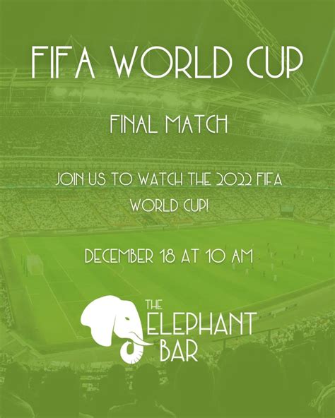 FIFA World Cup Final Game | The Elephant Bar