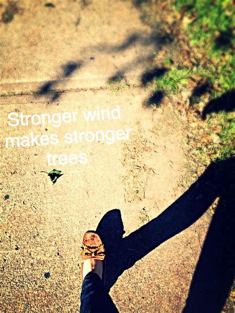 The stronger the wind, the stronger the tree 👌 Amazing quote :) amazing day | Amazing quotes ...