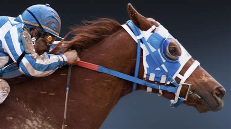 Download Movie Secretariat HD Wallpaper