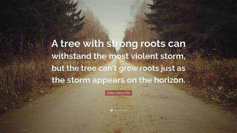 Dalai Lama XIV Quote: “A tree with strong roots can withstand the most violent storm, but the ...