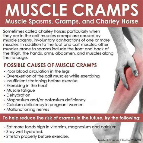 Muscle cramps | Muscle cramp, Muscle spasms, Calf muscle cramps