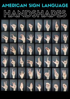 American Sign Language Handshapes Poster by Amanda Kline | TpT