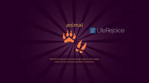 How to Make Animal in Little Alchemy 2 (Step-by-Step Guide) - LifeRejoice