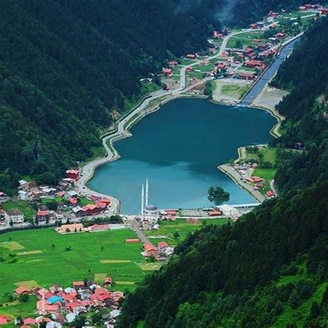 Vip Travel 7/24 - Karadeniz Tours