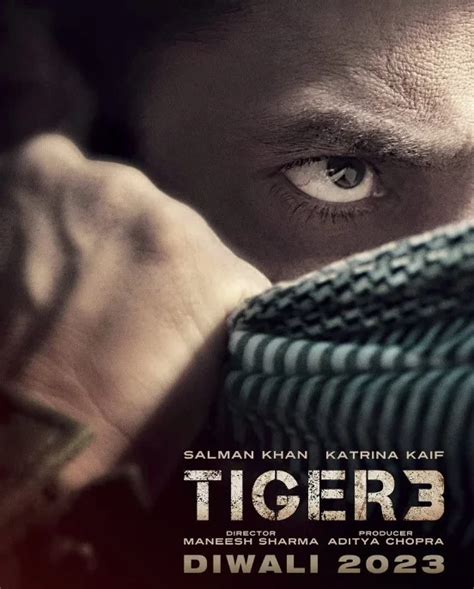 Tiger 3 Movie Release Date 2023, Story, Behind Scenes, Cast, Villain ...