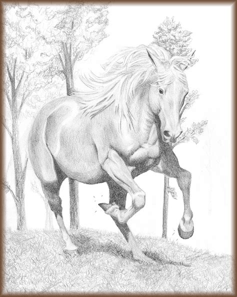 Photo : Wild Horsesmustangs Galloping Images | Drawing horse, Horses, Horse drawings