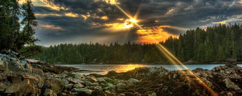 Download Sunbeam Nature Lake Wallpaper