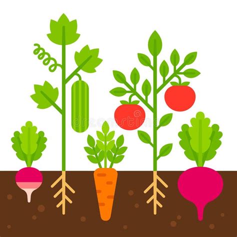 Photo about Vegetable garden, simple flat cartoon vector illustration ...