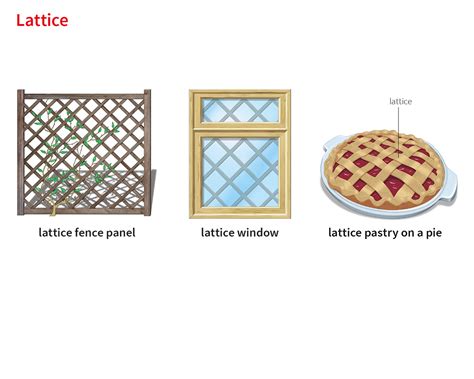 lattice noun - Definition, pictures, pronunciation and usage notes ...