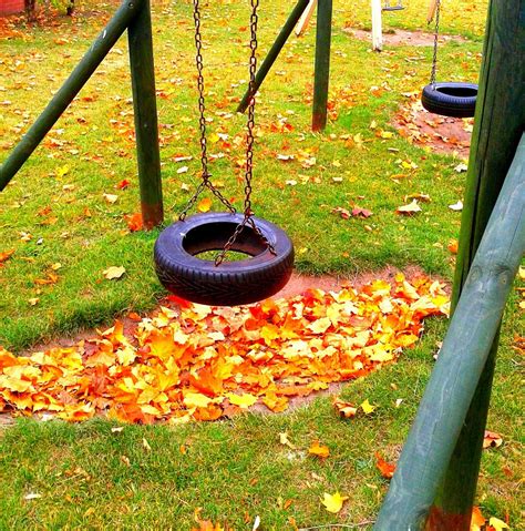 Free Images : tree, grass, leaf, spring, green, swing, playground 4592x3448 - - 13182 - Free ...