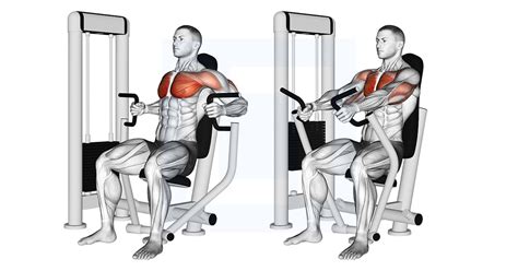 Machine Inner Chest Press - Guide, Benefits, and Form