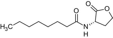 N-Octanoyl-L-homoserine lactone, involved in quorum sensing (CAS 147852-84-4) (ab145304)