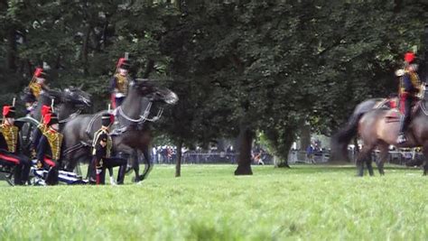 royal guards taking part queen's birthday Stock Footage Video (100% ...