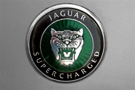 Jaguar logo | Jaguar car logo, Car logos, Jaguar car