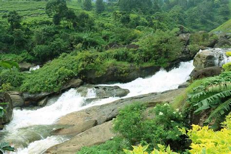 13 Famous Waterfalls in Munnar: Best Time to Visit and How to Reach