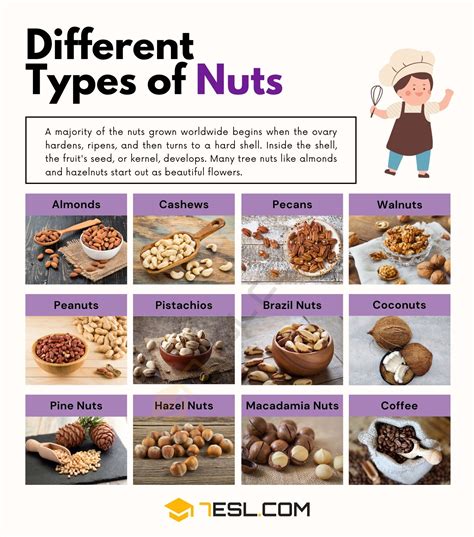 Types of Nuts with Pictures • 7ESL