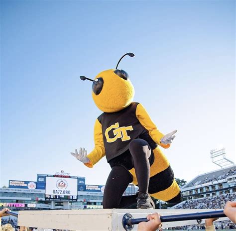 Buzz | Mascot Hall of Fame