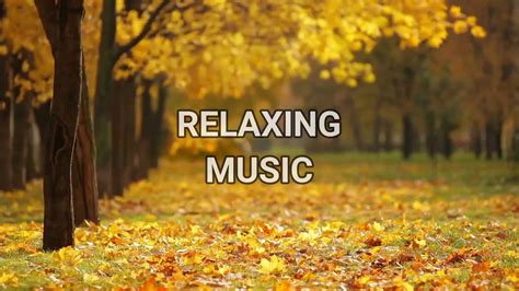 sound with deep Relaxing Music Nature sound - YouTube