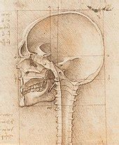 Science and inventions of Leonardo da Vinci - Wikipedia