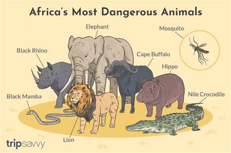 The 9 Most Dangerous Animals in Africa