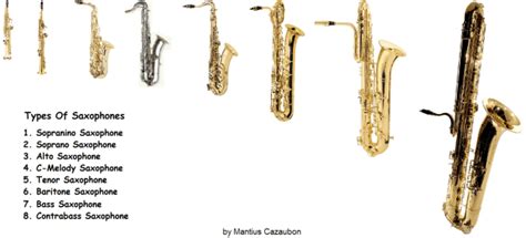 Different Types of Saxophones