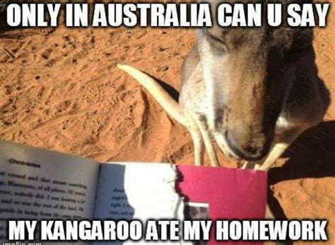 Memedroid - Images tagged as 'kangaroo' - Page 1