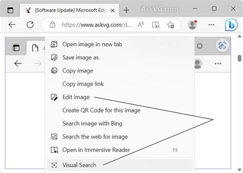 [Tip] Disable Visual Search Icon and Image Hover Menu in Microsoft Edge – AskVG