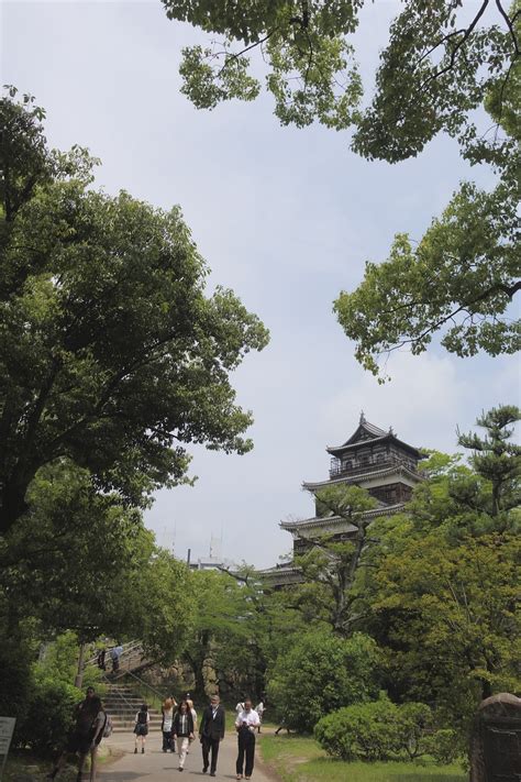 Hiroshima Castle Japan - Free photo on Pixabay - Pixabay