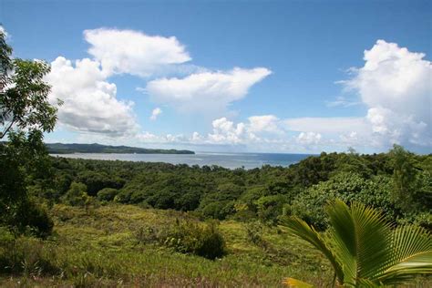 Terrestrial Environments - Coral Reef Research Foundation