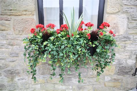 Artificial Red Geranium Window Box | Artificial flowers, Artificial flower arrangements ...