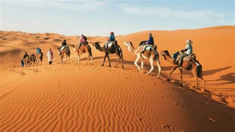 Best 3 Days Ouarzazate Desert Tour To Marrakech Or Fes