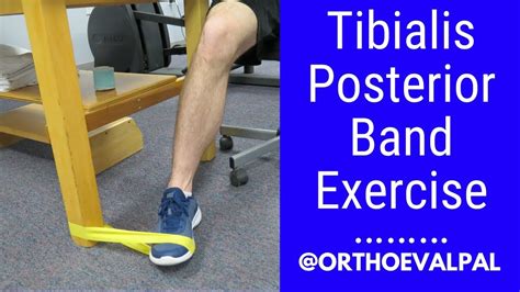 Posterior Tibial Tendonitis Exercises Pdf Posterior Tibial Tendonitis | Porn Sex Picture