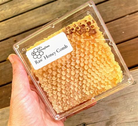 Raw honeycomb. Raw honey comb filled with pure honey real | Etsy