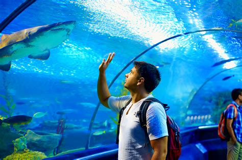 Zoos & Aquariums To Visit | Activities on Oahu Hawaii