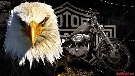 Harley-Davidson Eagle Wallpapers - Top Free Harley-Davidson Eagle ...