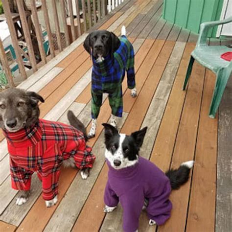 Fleece Dog Pajamas Custom Dog Pajamas - Etsy