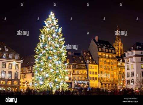 Christmas tree in Strasbourg, "Capital of Christmas". 2014 - Als Stock ...