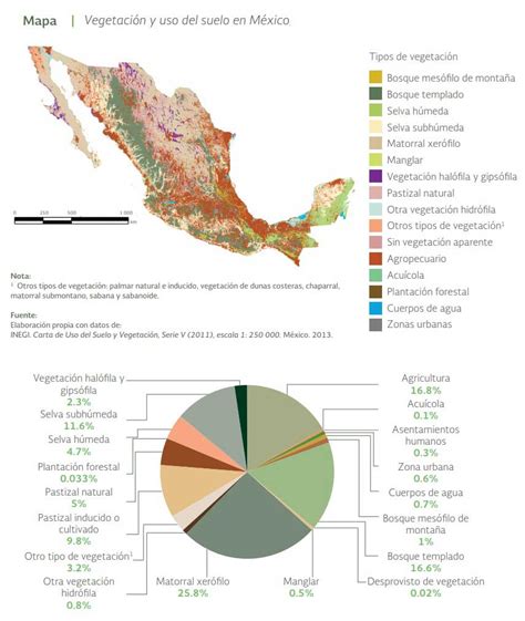 Diferentes Ecosistemas De Mexico - abstractor