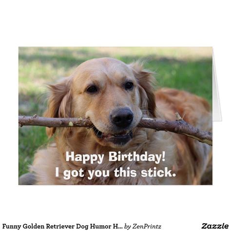 Funny Golden Retriever Dog Humor Happy Birthday | Zazzle | Golden ...