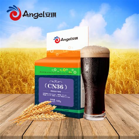 ANGEL CN36 Dry Yeast For English Pale Ale Style Stout Beer IPA Brewery ...