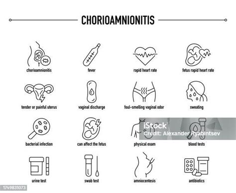 Chorioamnionitis Symptoms Diagnostic And Treatment Vector Icons Stock Illustration - Download ...